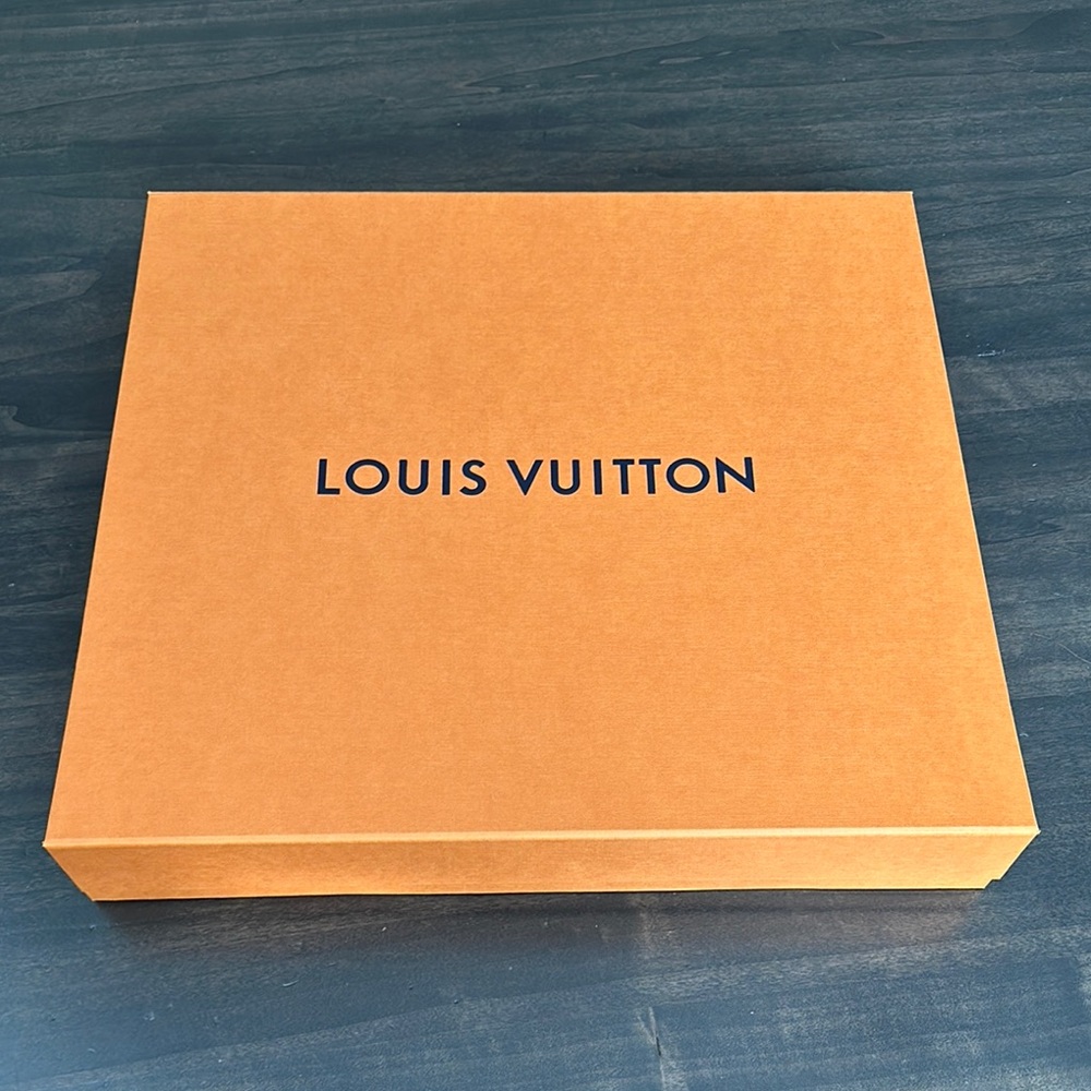 Louis Vuitton Storage Box and Shopping Bag - Picture 4 of 10